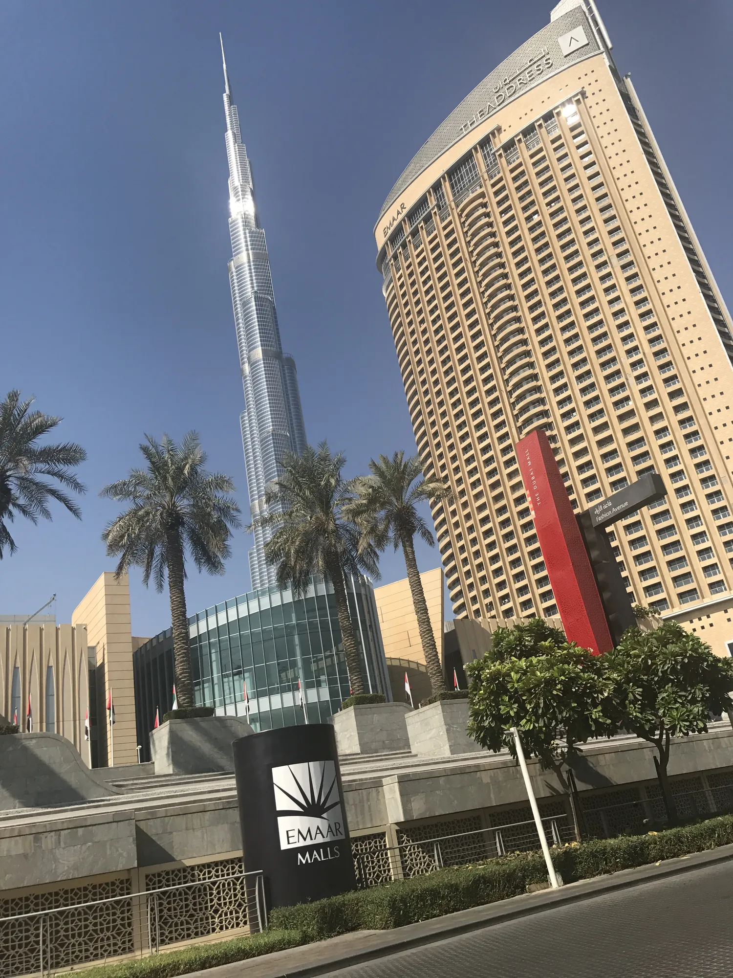 Burj Khalifa rising above palms and the Address hotel in Downtown Dubai
