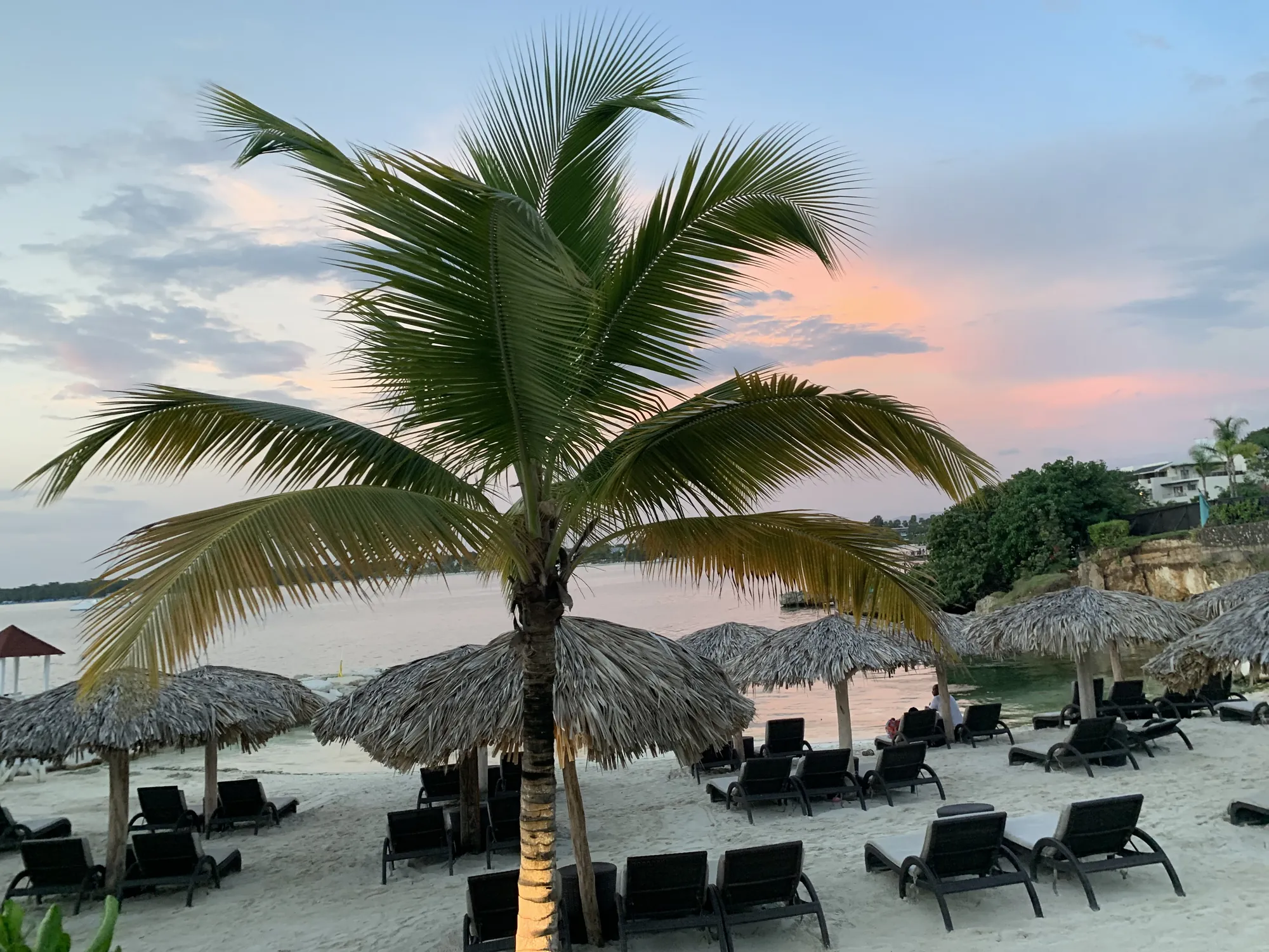 A palm tree and beach loungers at dusk on Negril Seven Mile Beach